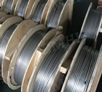 Duplex 2205 Coiled Tubing_2.jpg