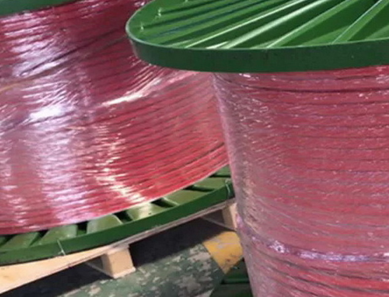 Encapsulated Control Line_9