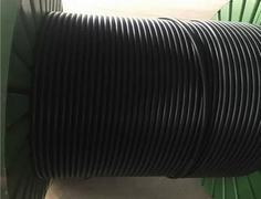 Encapsulated Control Line_5.jpg
