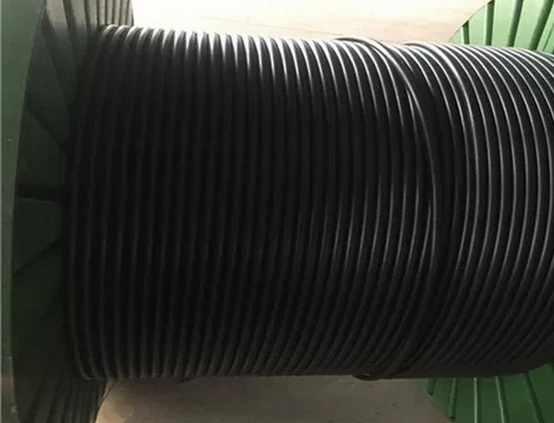 Encapsulated Control Line_5