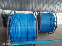 control line cable for downhole.png