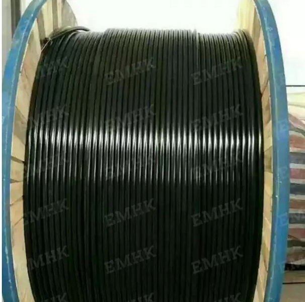 Encapsulated Control Line_2