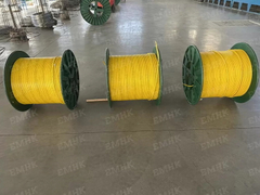 Encapsulated Control Line_1.jpg