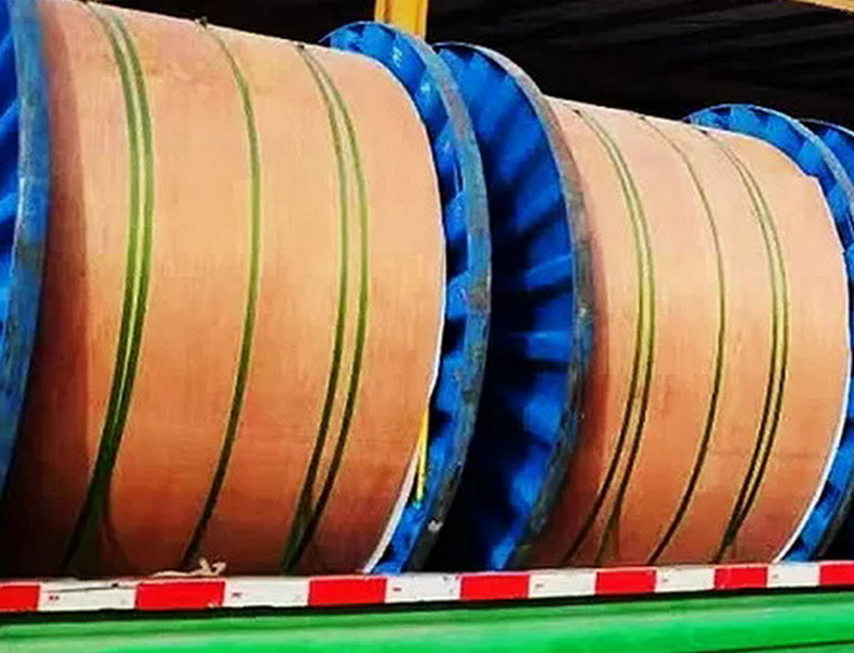 Encapsulated Control Line_7